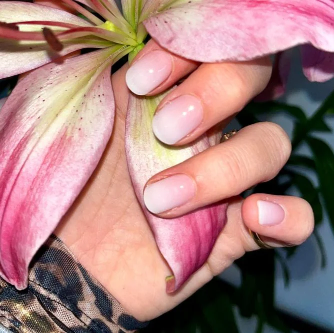 All Time Classics Bundle - Image 4