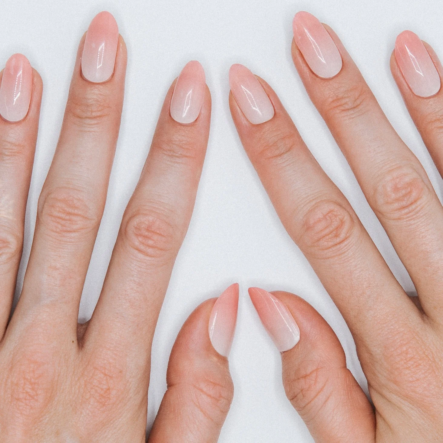 Babyboom Blush by Artistlab - Image 4