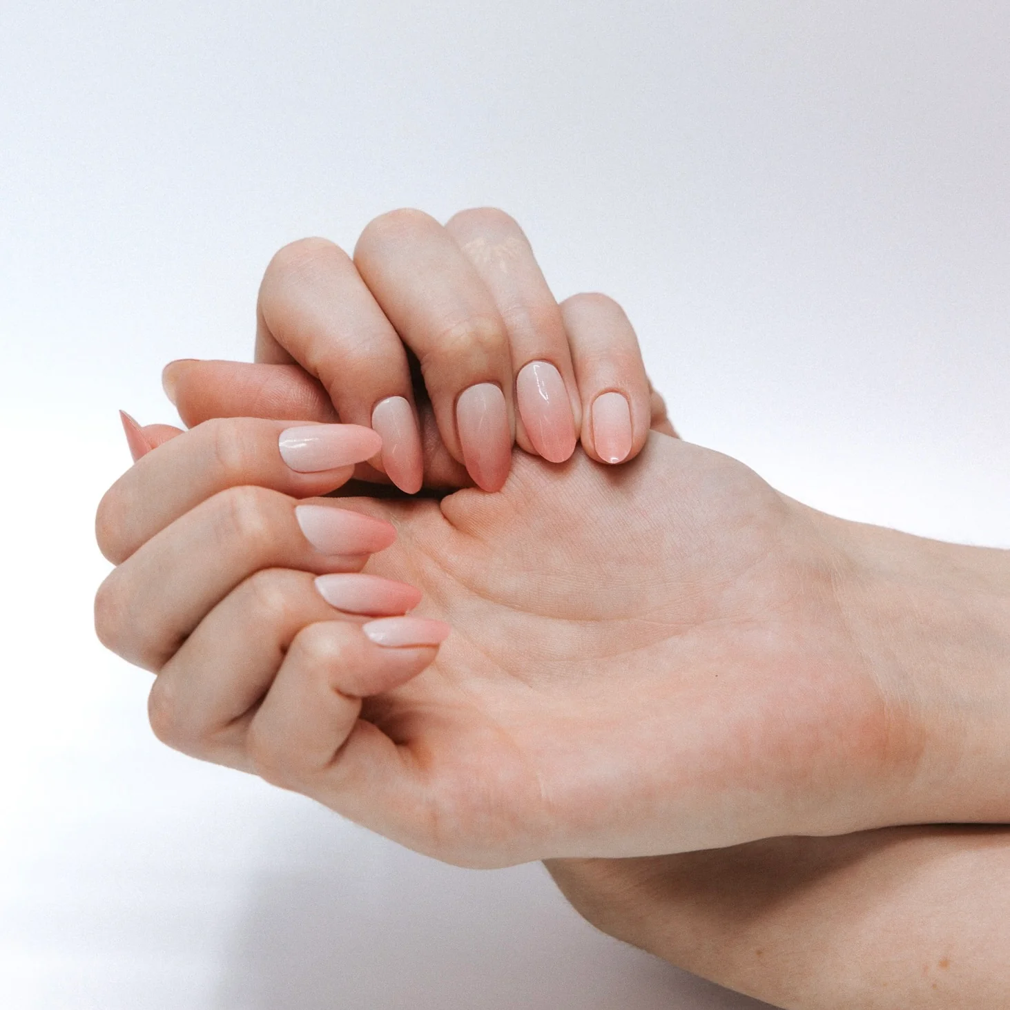 Babyboom Blush by Artistlab - Image 8