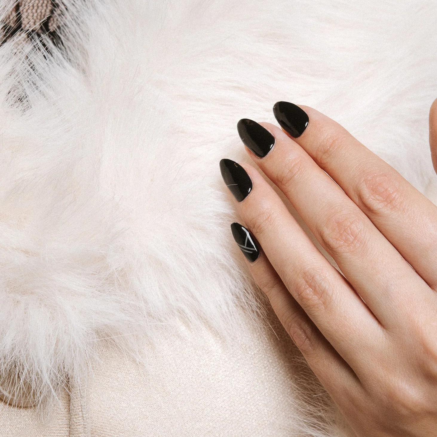 Bowie Black - Image 5