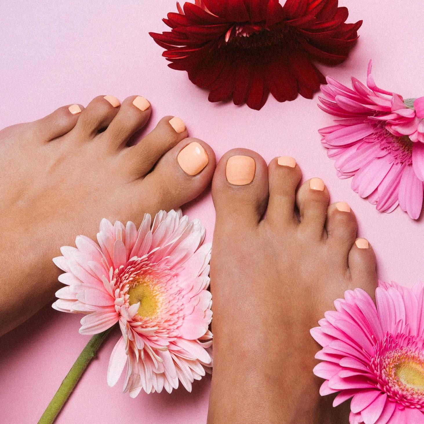 Candy Coral - Toes - Image 5