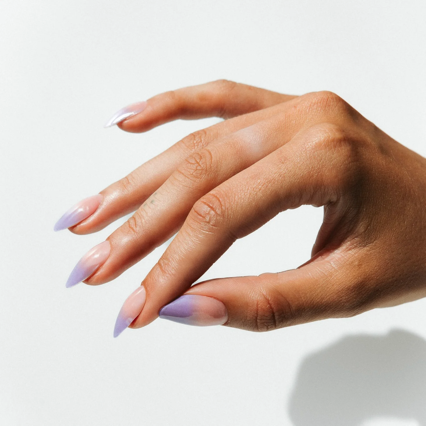 Lavender French by Artistlab - Image 5