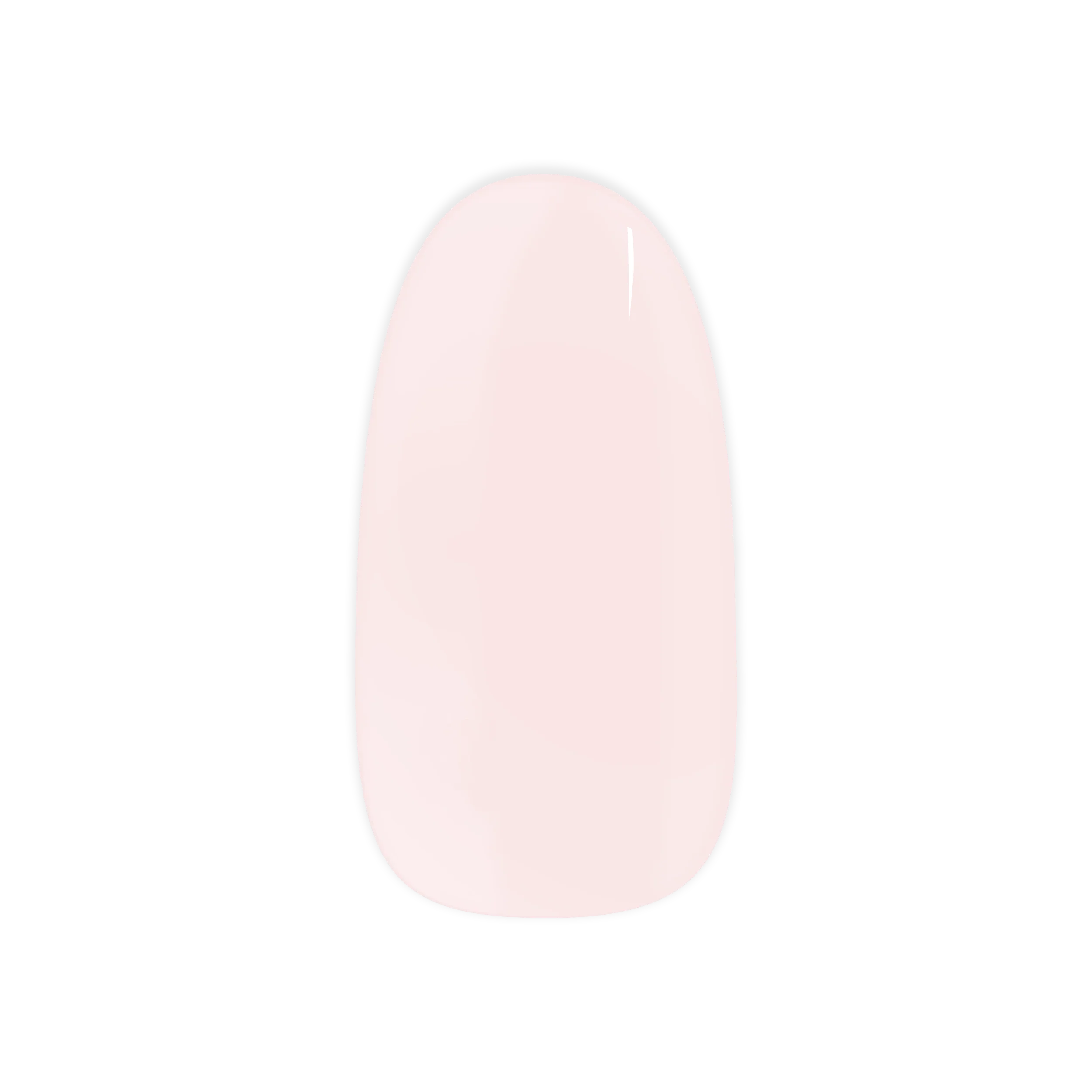 New & Exclusive Quality