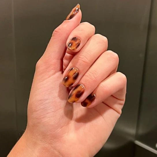 Turtle - Mani+Pedi - Image 4