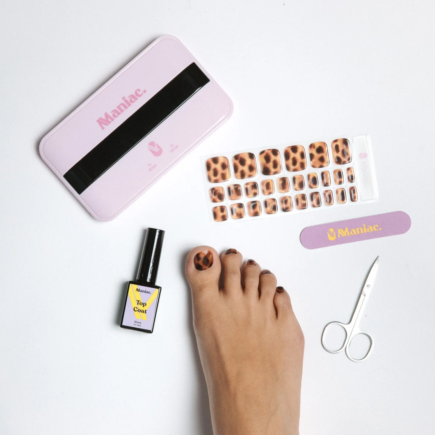 Turtle - Toes - Image 5